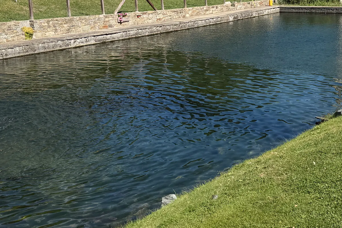 Acqua fredda e ossigenata nella vasca dell'allevamento Pranou
